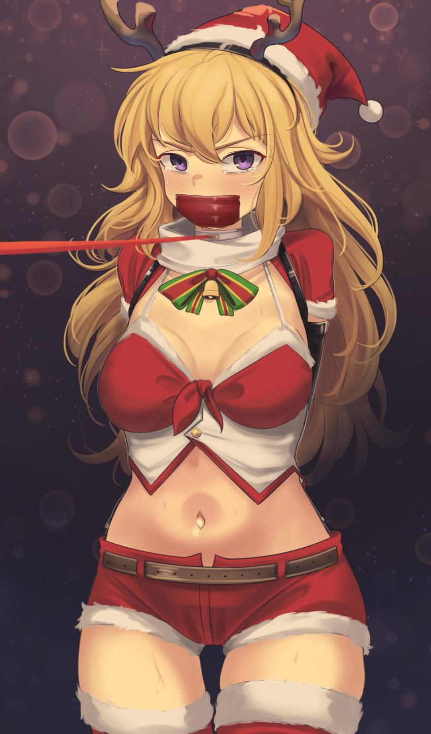 サンタのエロ画像待った無し！