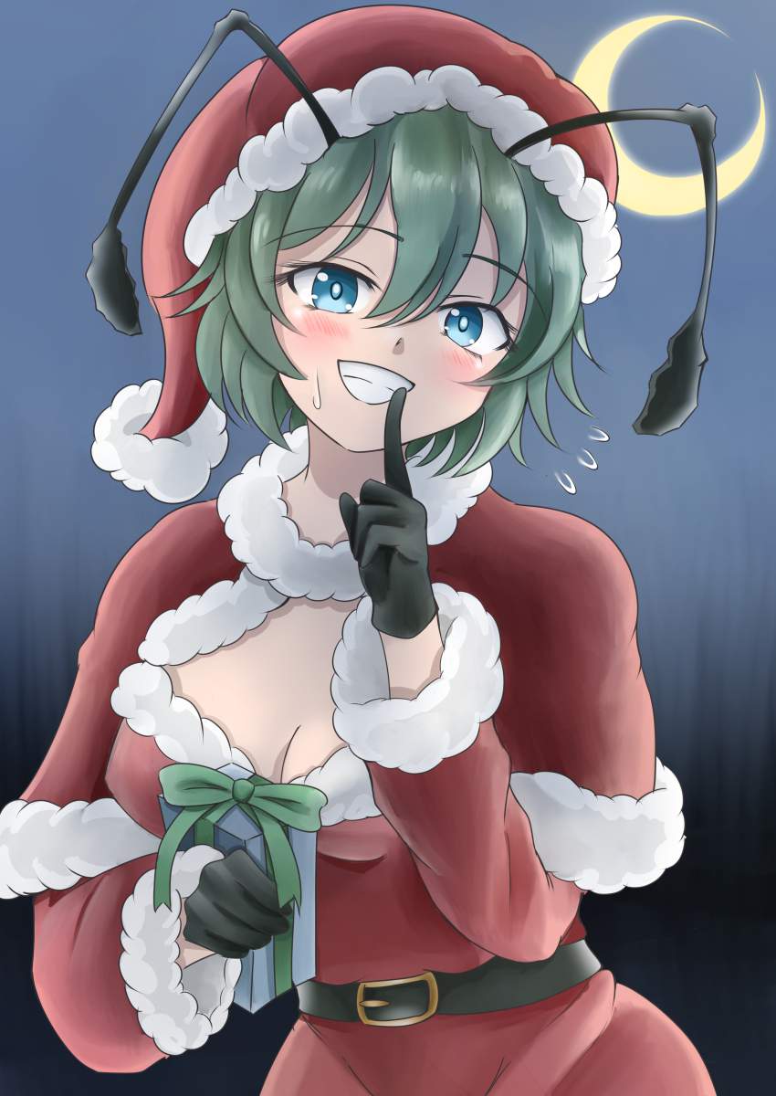 サンタのエロ画像待った無し！