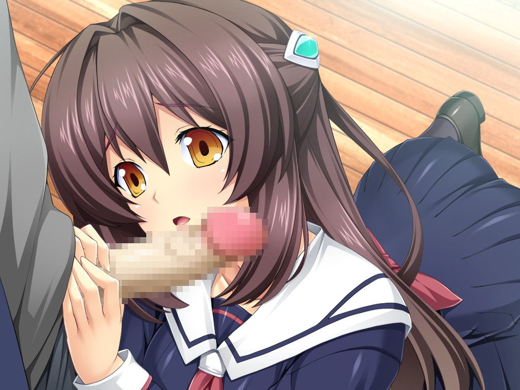 フェラチオの二次画像がヌけすぎてこまる件について