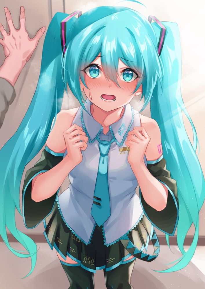 ボーカロイドの二次フェチ画像。