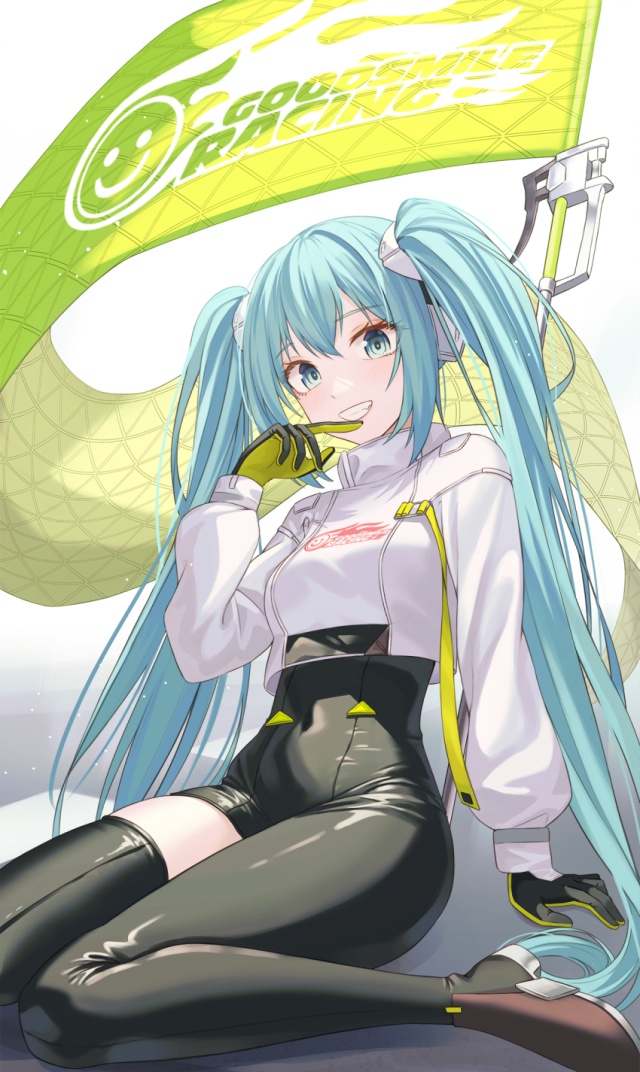 ボーカロイドの二次フェチ画像。