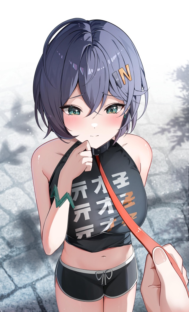 ゼンレスゾーンゼロの二次エロ画像くだしあ。