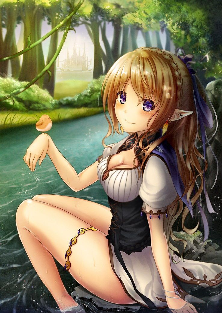 エルフのエロすぎる画像