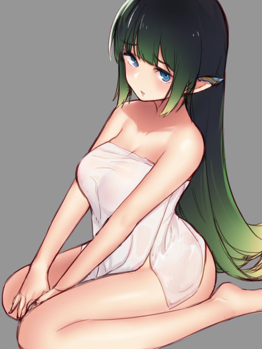 エルフのエロすぎる画像