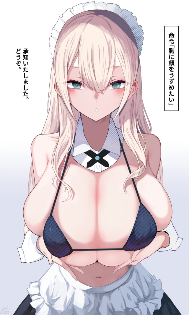 ビキニのエロ画像下さい