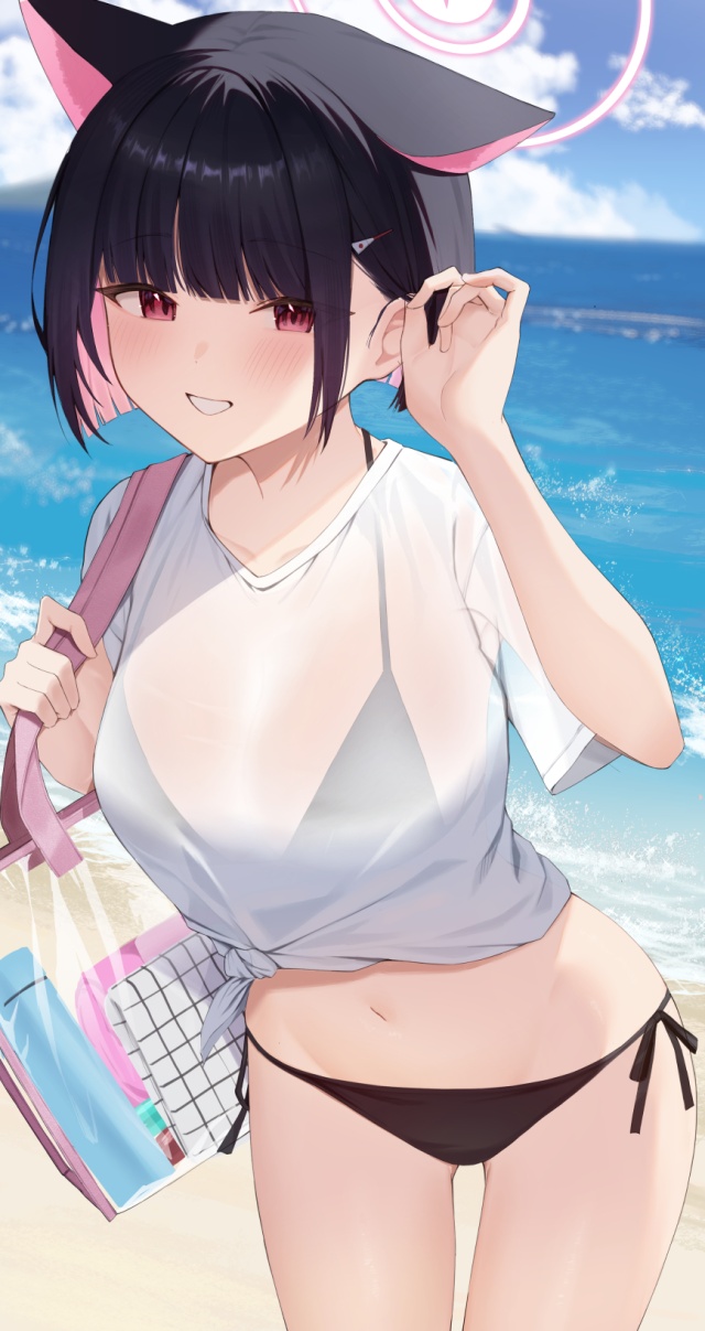 ビキニのエロ画像下さい