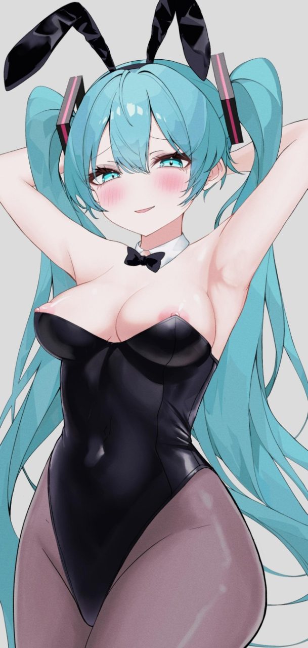 ボーカロイドのエロ画像みて幸せになろう！