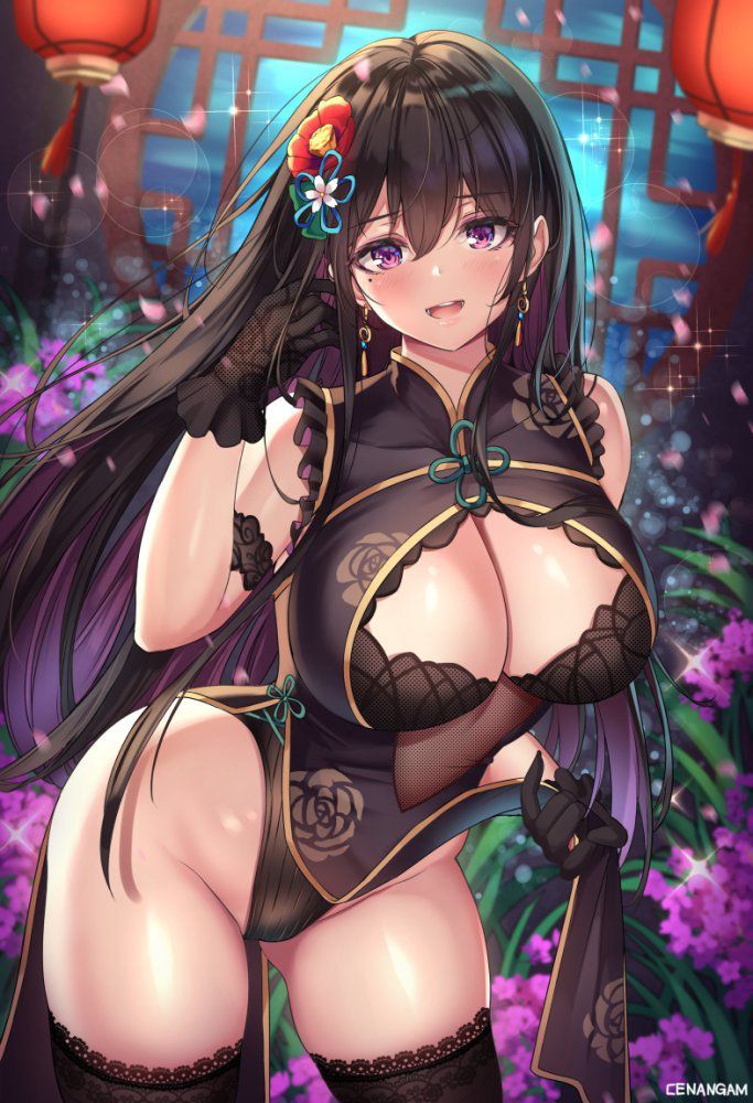 チャイナドレスの二次エロ画像を愛でる。