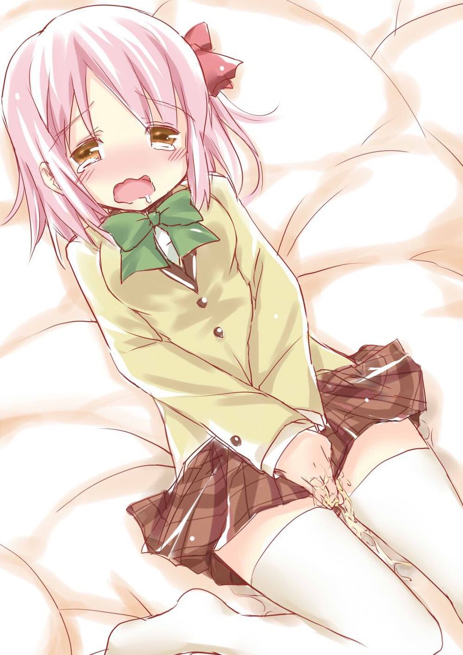 おしっこでしこれる二次画像ください！