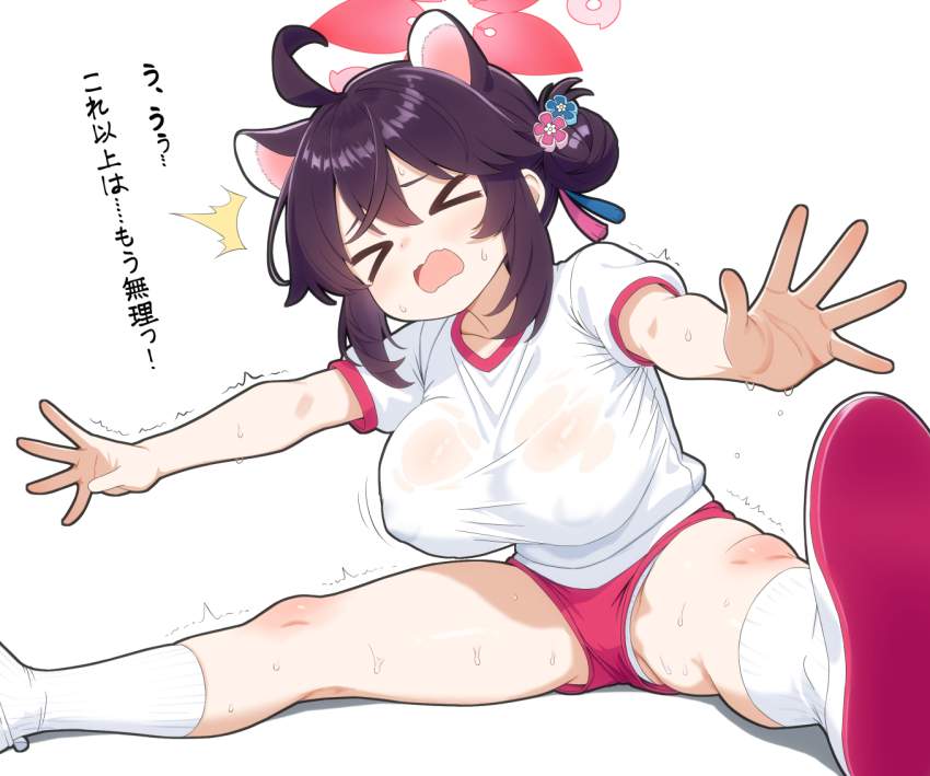 体操服・ブルマの二次エロ画像を愛でる。