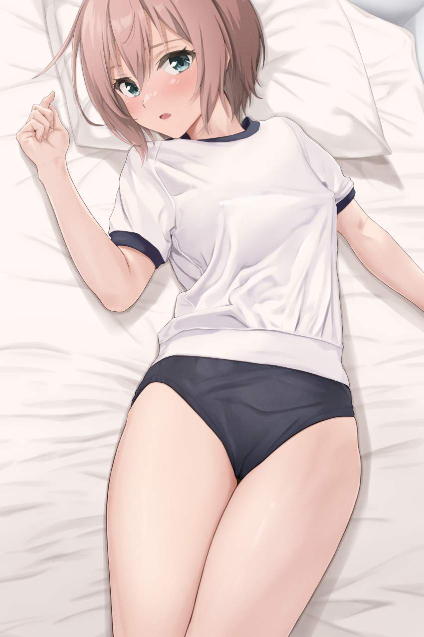 体操服・ブルマの二次エロ画像を愛でる。