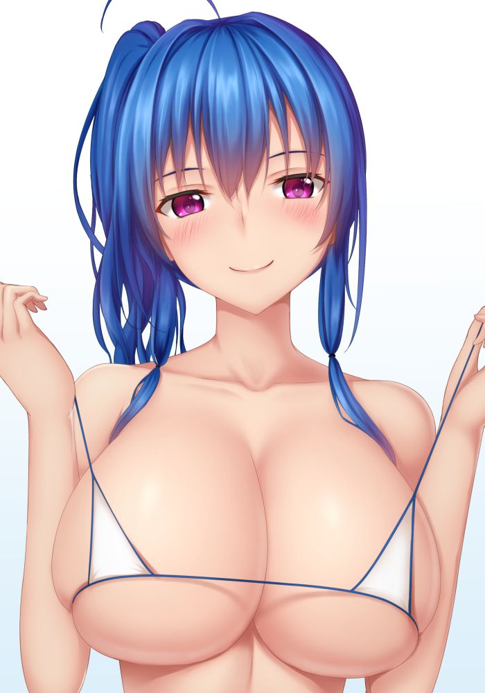 ビキニがエロくてたまんないので画像を収集してきた