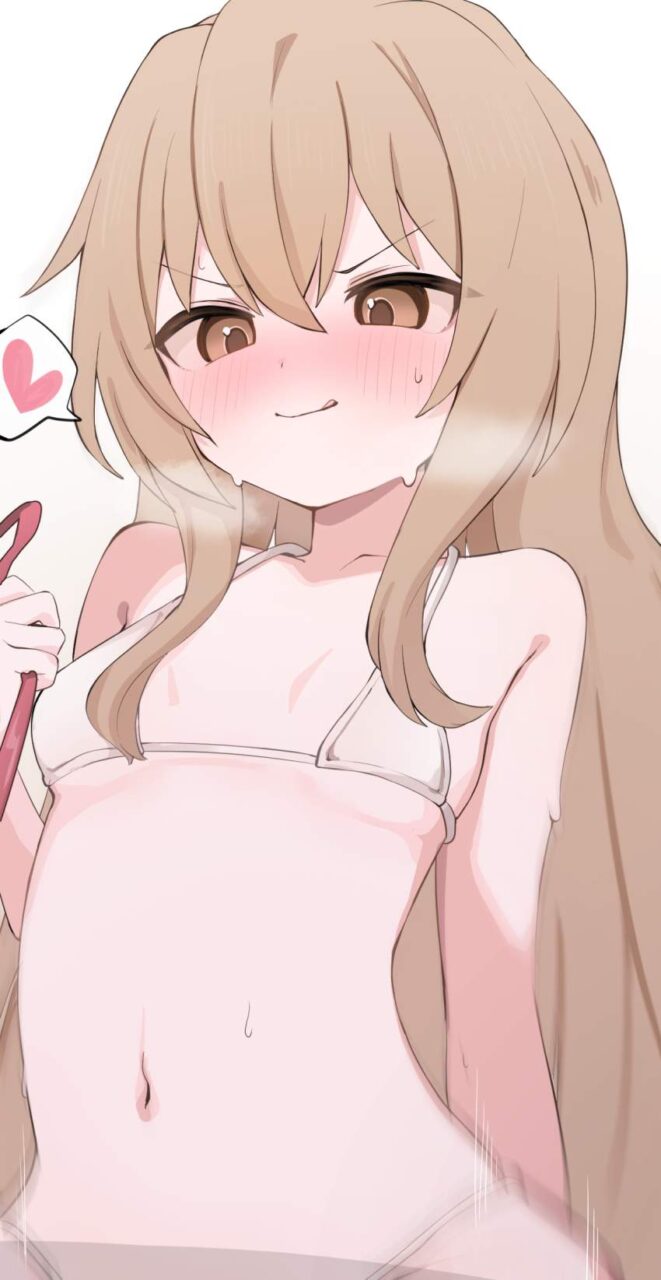 とらドラ！の虹エロ画像