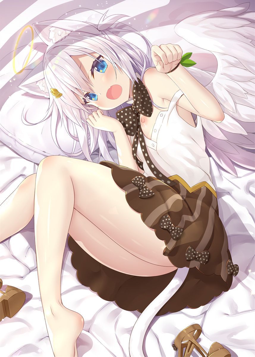 貧乳の魅力についてエロ画像で検証