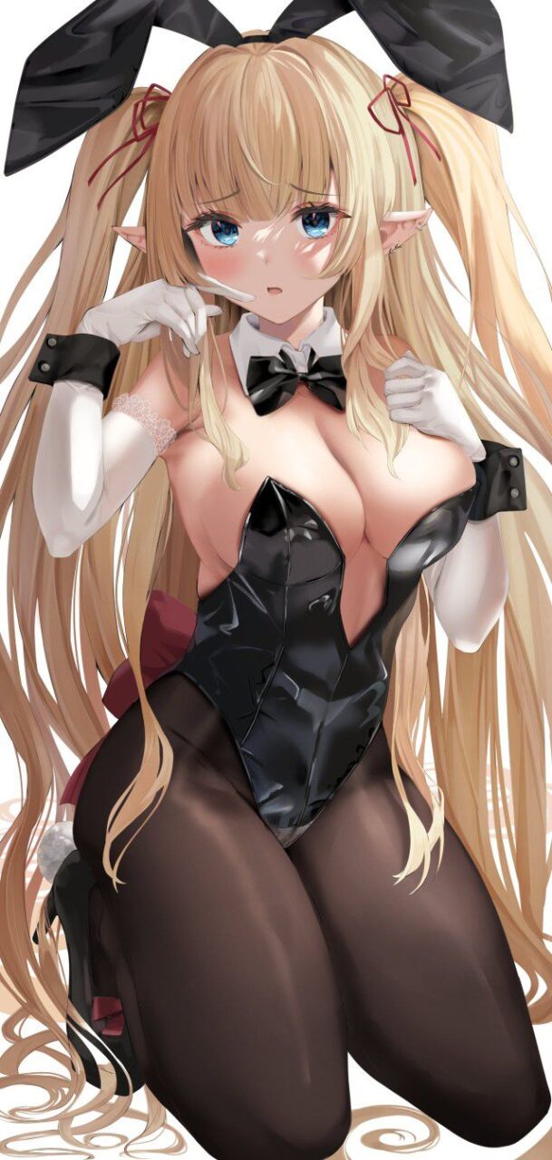 エルフのエロ画像集めてみた