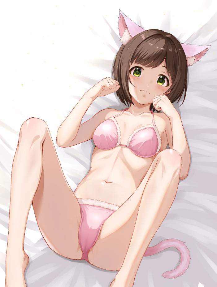 ブラジャーのエロ可愛い画像貼っていくぜ！