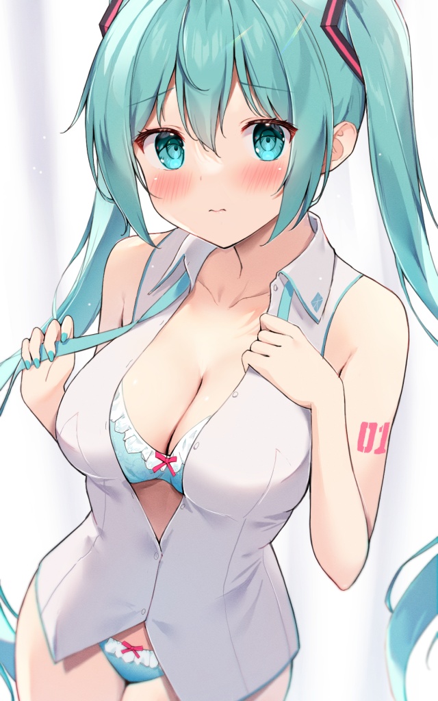 ボーカロイドのエロい画像