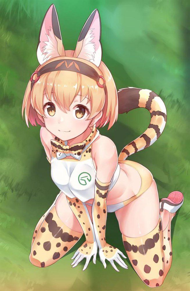 体操服・ブルマのエロすぎる画像