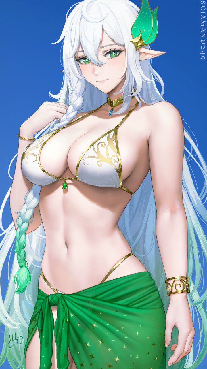 エルフのエロ画像まとめ！