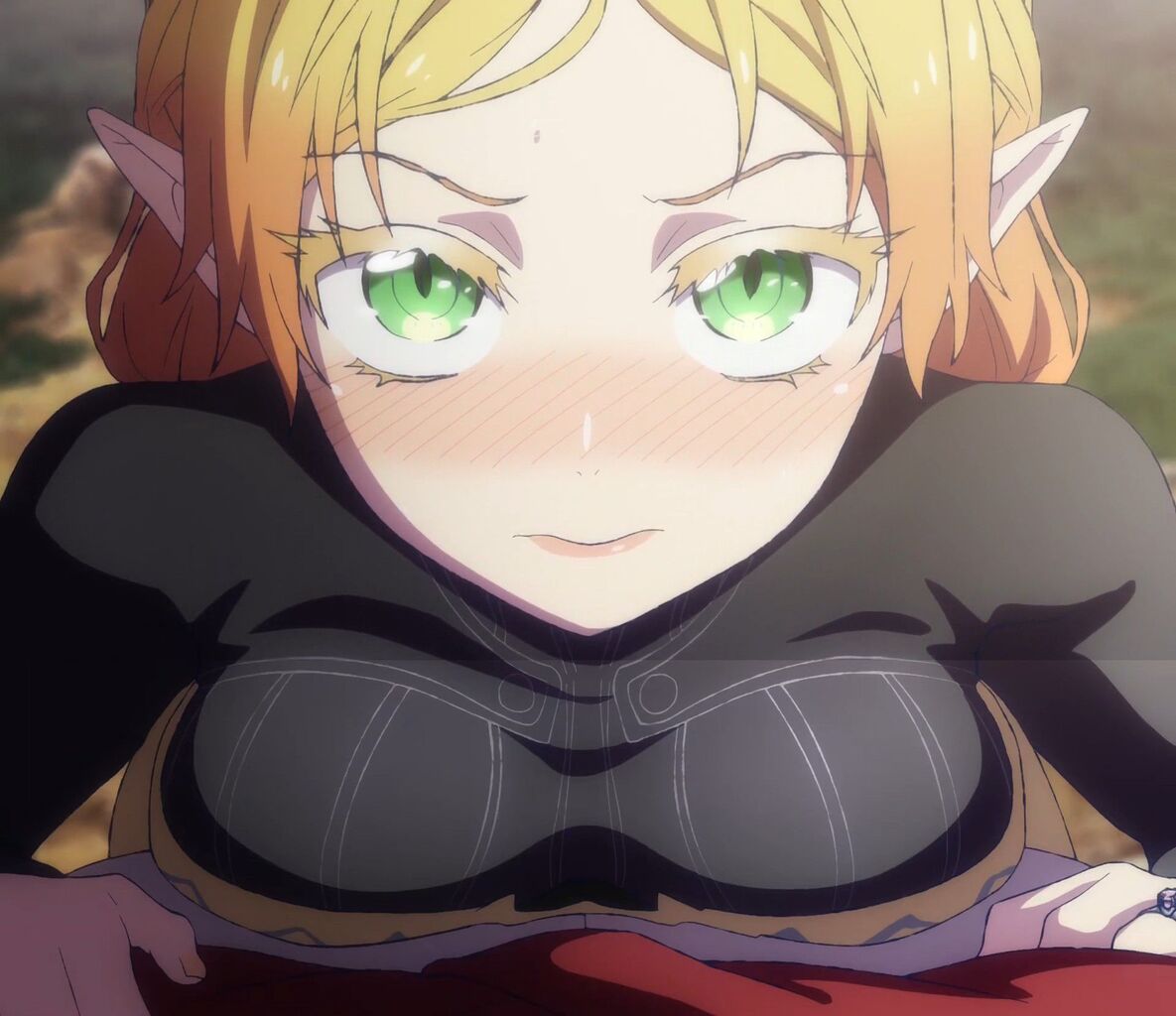 エルフのエロ画像まとめ！