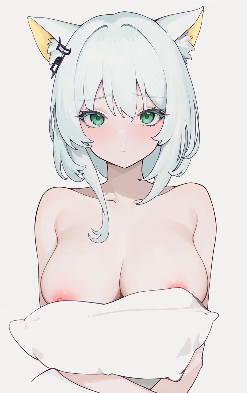 主観の画像フォルダを公開する！