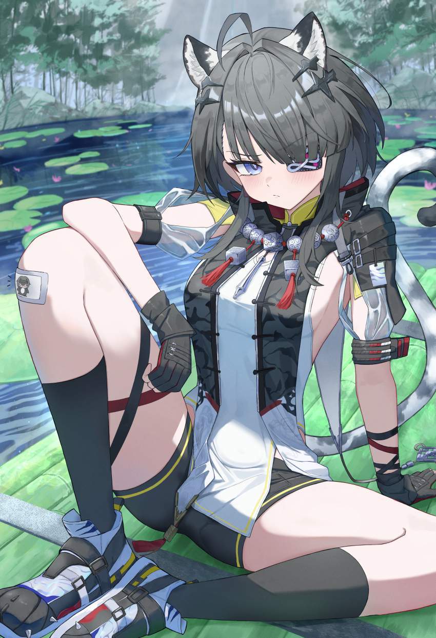 アークナイツの画像ください