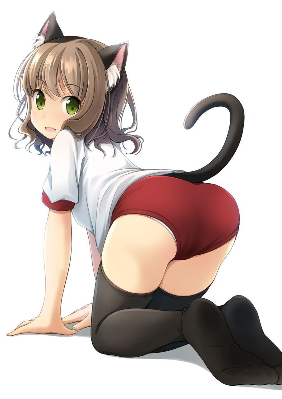 体操服・ブルマのエロすぎる画像