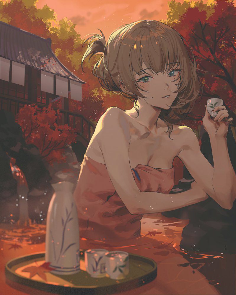 お風呂がエロくてたまんないので画像を収集してきた