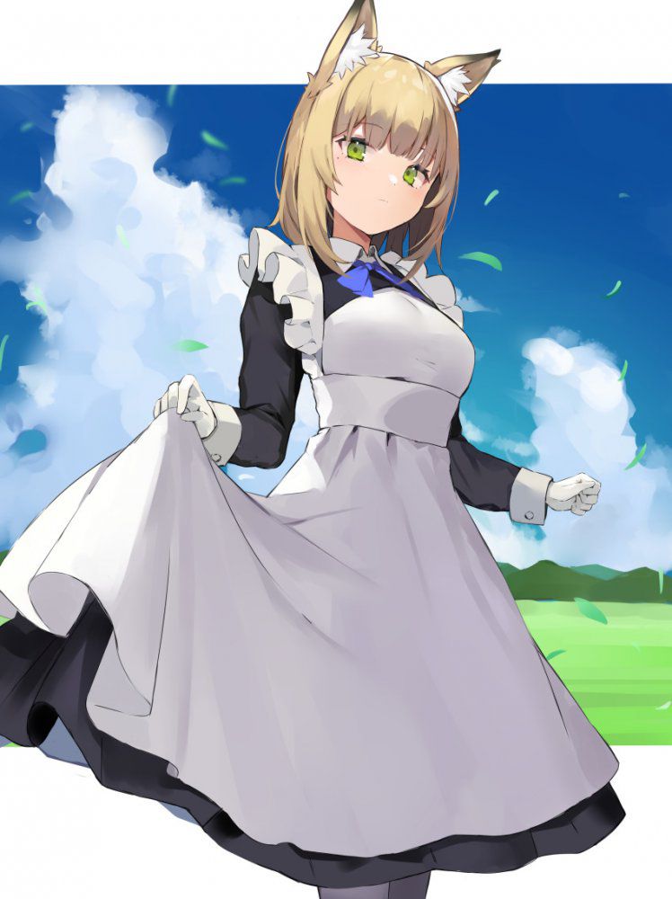 メイドの画像倉庫がここです！