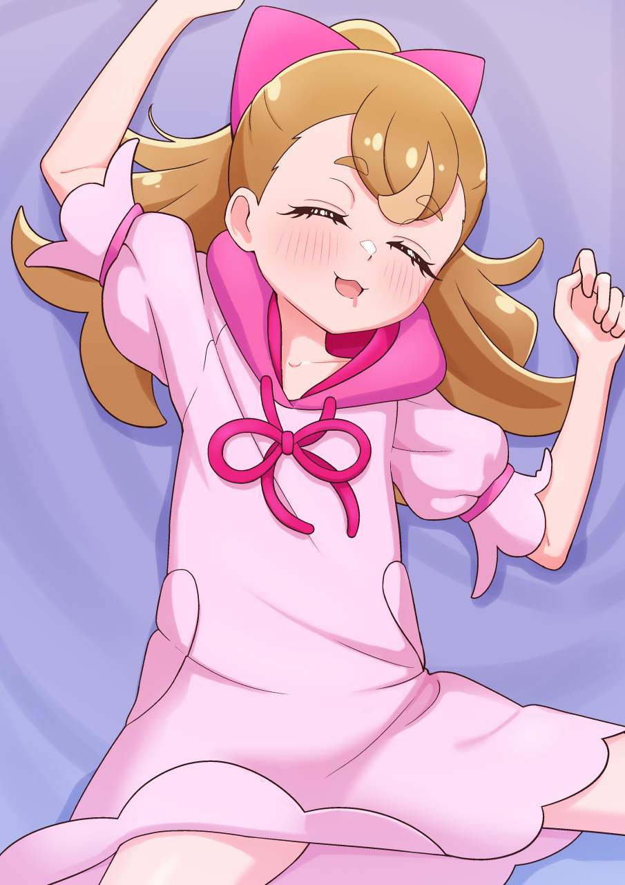 わんだふるぷりきゅあ!の可愛い二次元画像。