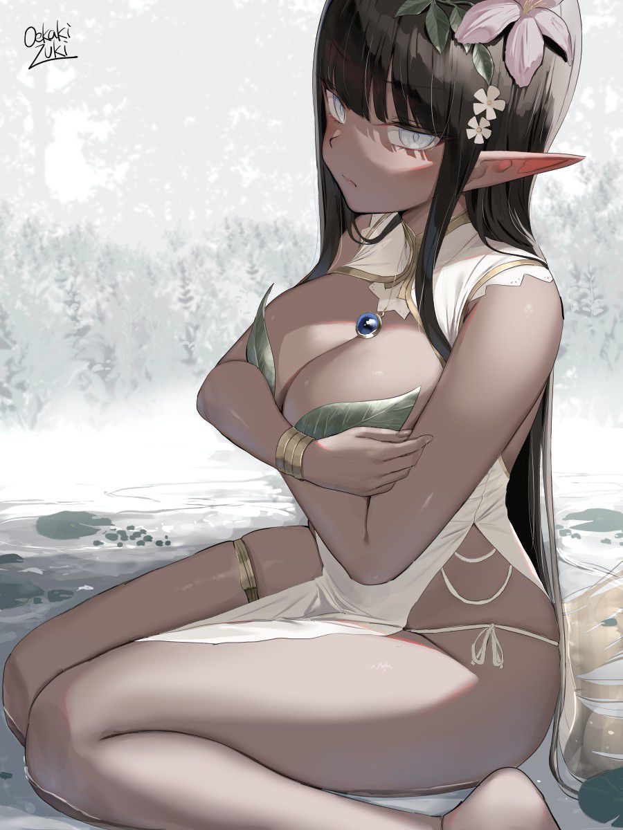 エルフのエロ画像を集めてみた