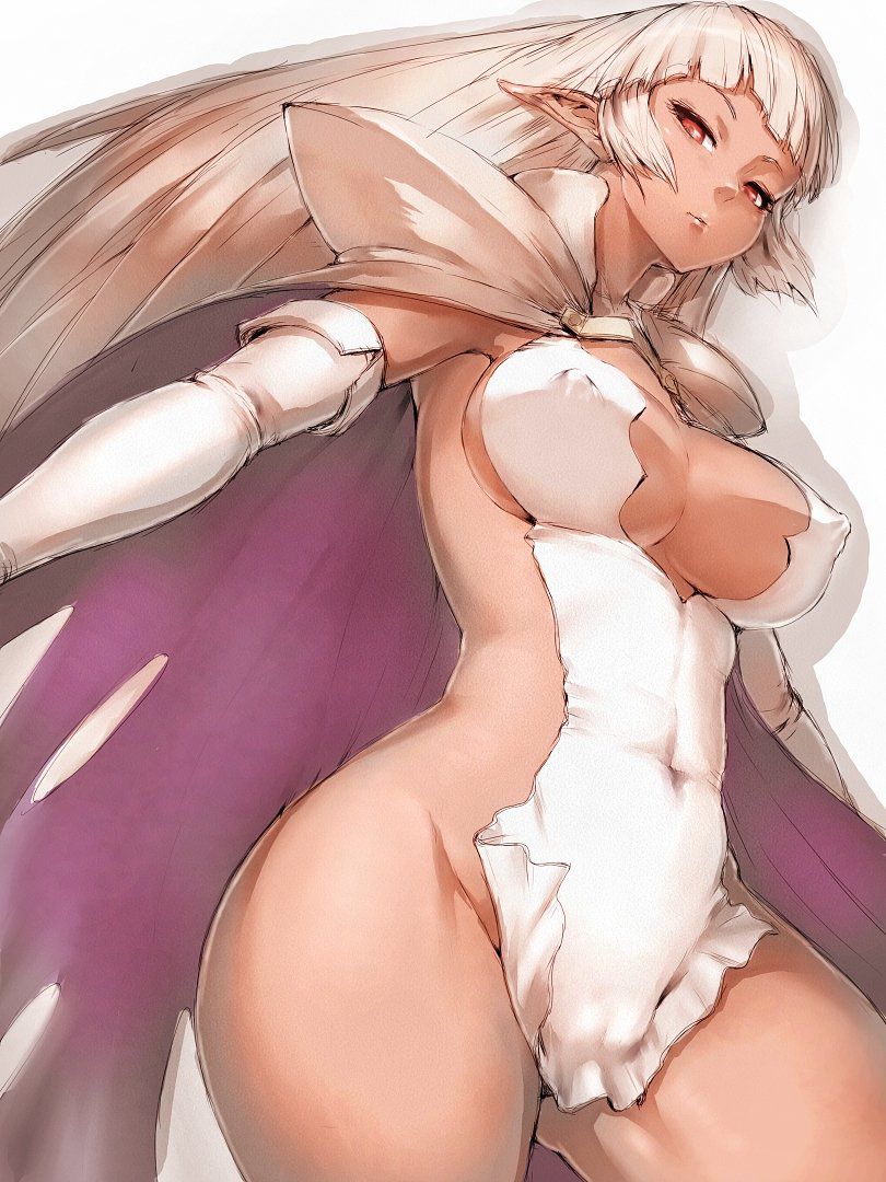 エルフのエロ画像を集めてみた