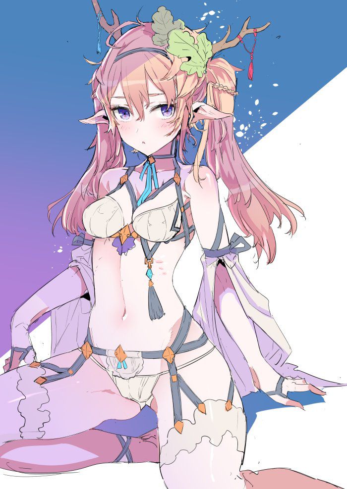 エルフの二次フェチ画像。