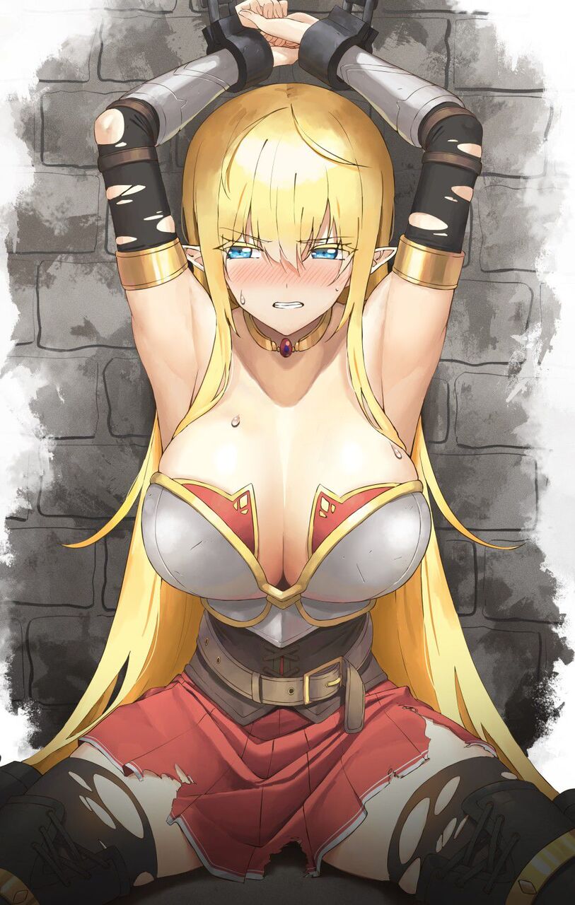エルフの二次フェチ画像。