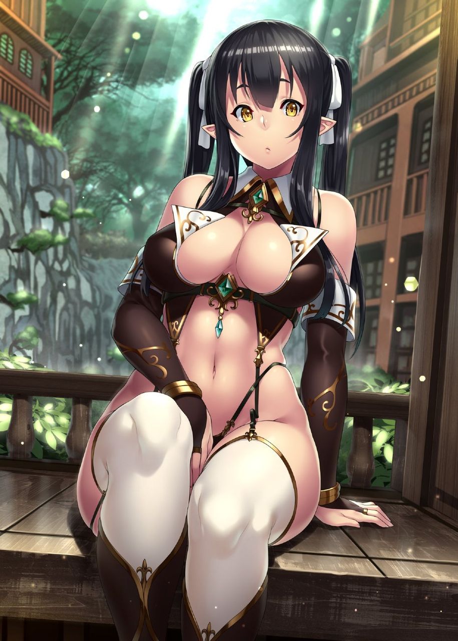 エルフの二次フェチ画像。