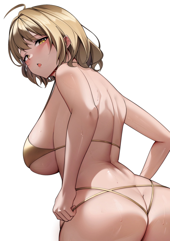 ビキニのエロ画像がほしい！