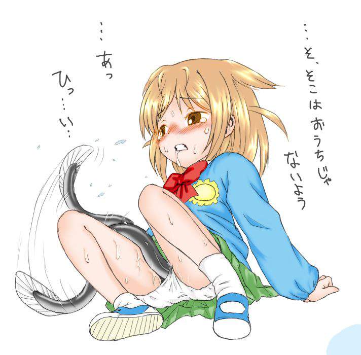異物挿入の二次エロ画像を愛でる。