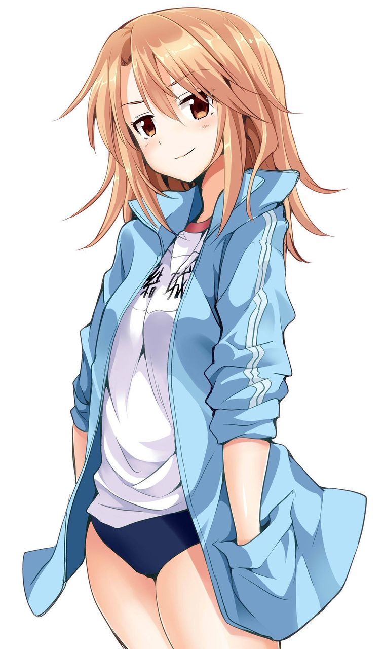 体操服・ブルマがエロくてたまんないので画像を収集してきた