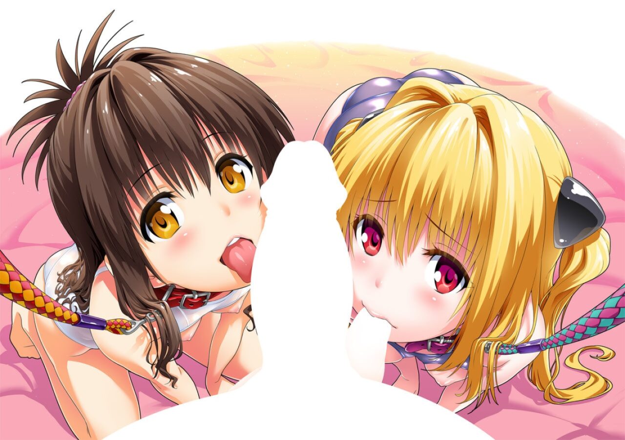 フェラチオの二次画像がヌけすぎてこまる件について