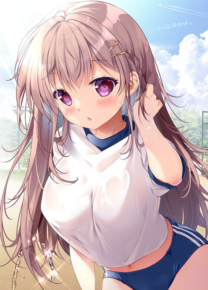 体操服・ブルマがエロくてたまんないので画像を収集してきた