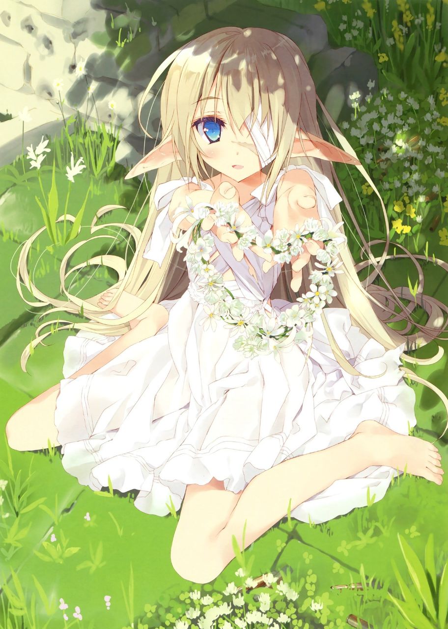 エルフの二次画像がヌけすぎてこまる件について