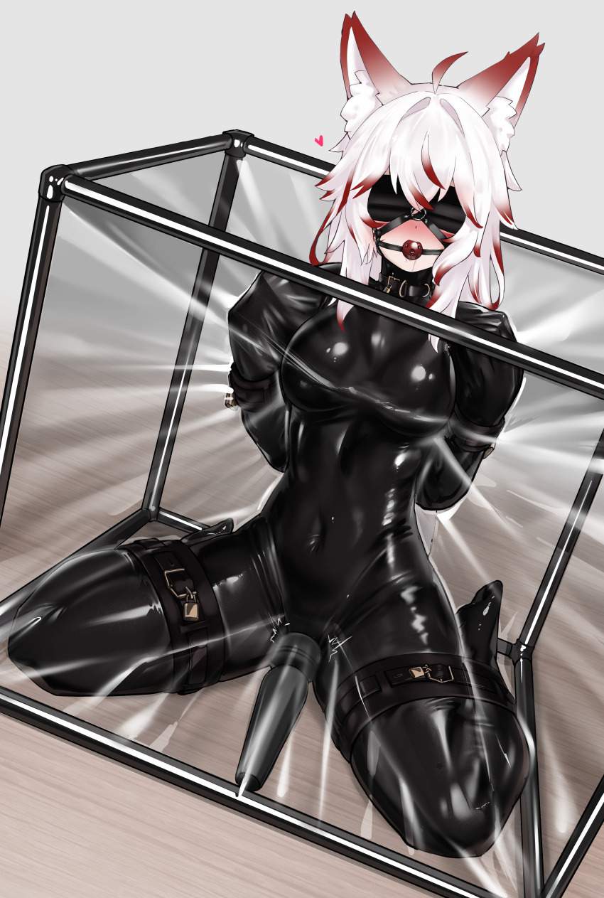 拘束の二次エロ画像を愛でる。