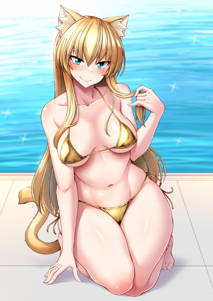 ビキニのエロ画像がほしい！