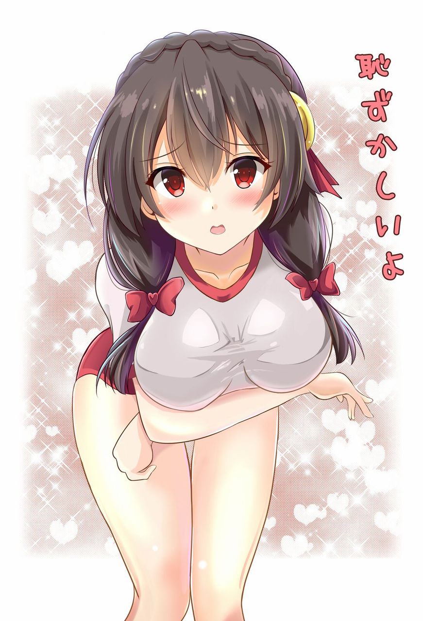 体操服・ブルマがエロくてたまんないので画像を収集してきた