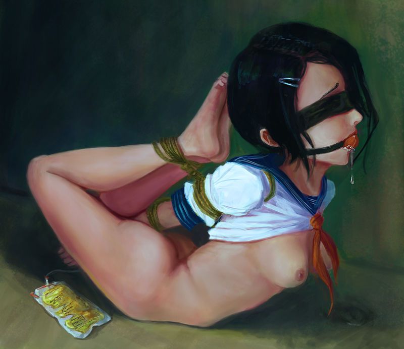 貧乳の二次エロ画像を愛でる。