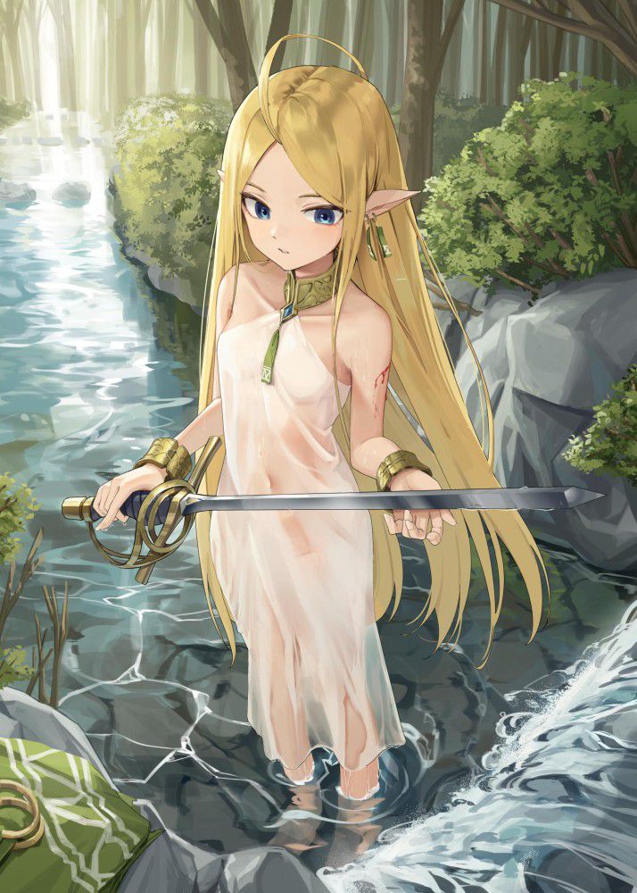 貧乳の二次エロ画像を愛でる。