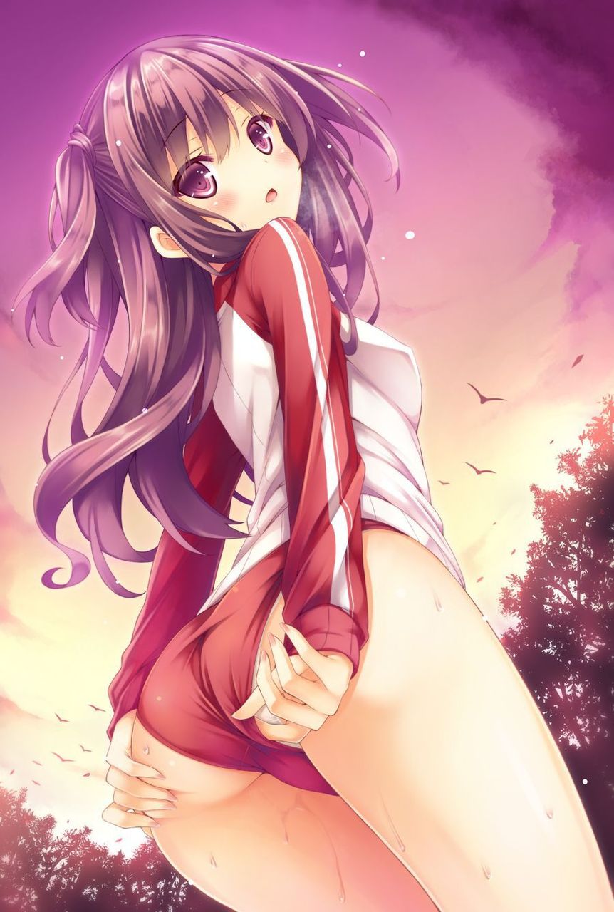 体操服・ブルマのエッチな魅力が分かるエロ画像
