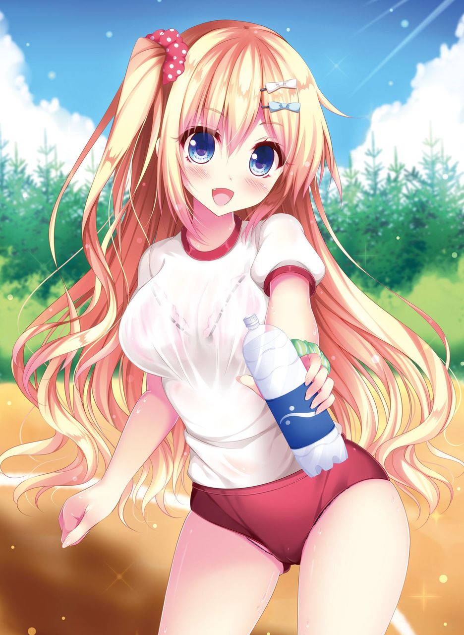 体操服・ブルマのエッチな魅力が分かるエロ画像
