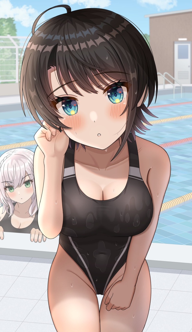 競泳水着がエロくてたまんないので画像を収集してきた