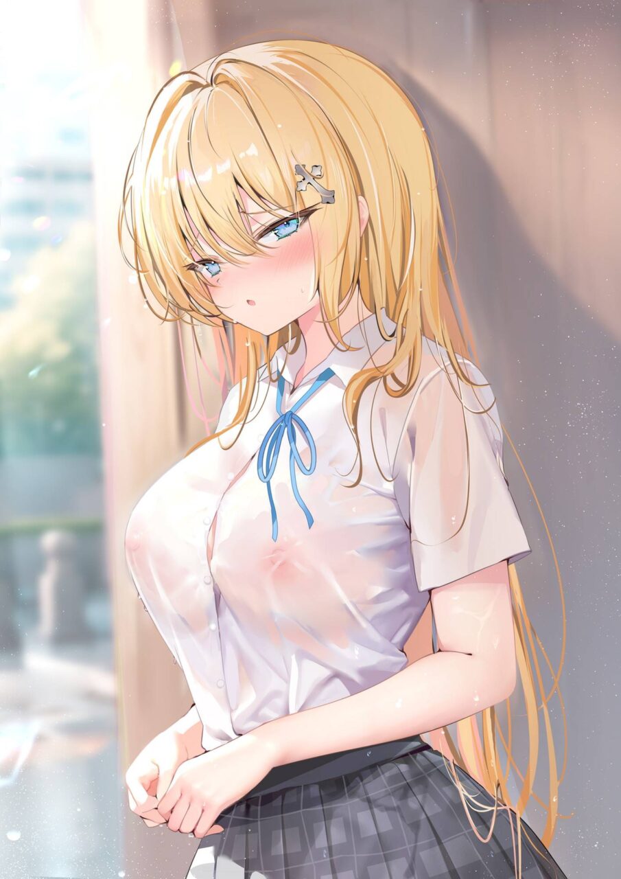 制服のエロ画像で抜きたくなったから貼ってくよ